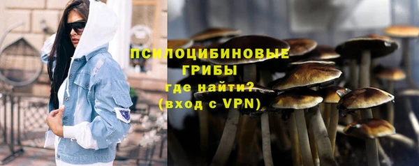 гашик Армянск