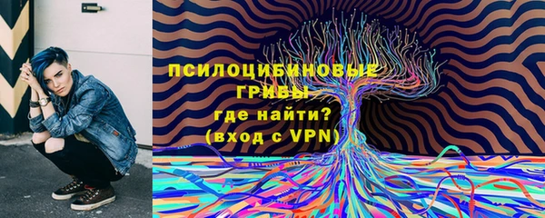 гашик Армянск