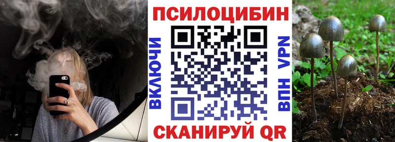 Галлюциногенные грибы Magic Shrooms  Багратионовск 